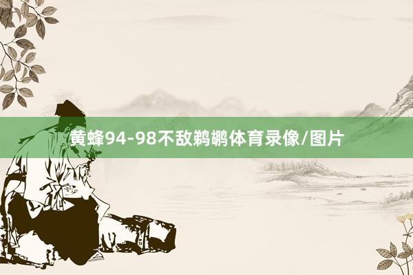 黄蜂94-98不敌鹈鹕体育录像/图片