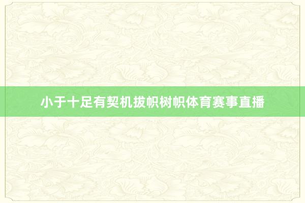 小于十足有契机拔帜树帜体育赛事直播