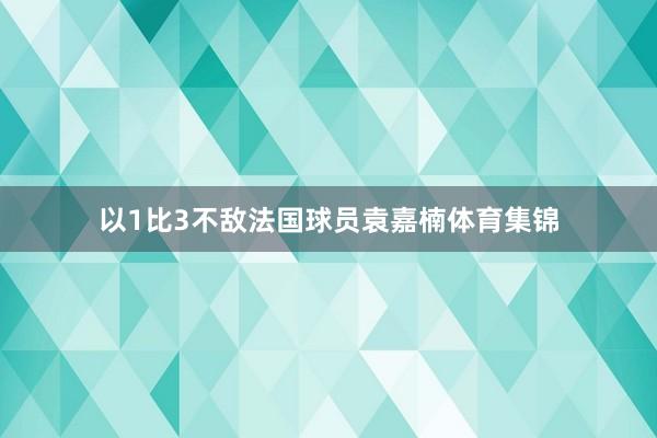 以1比3不敌法国球员袁嘉楠体育集锦