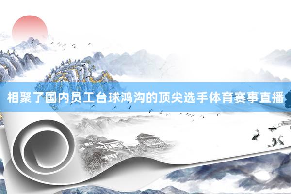 相聚了国内员工台球鸿沟的顶尖选手体育赛事直播