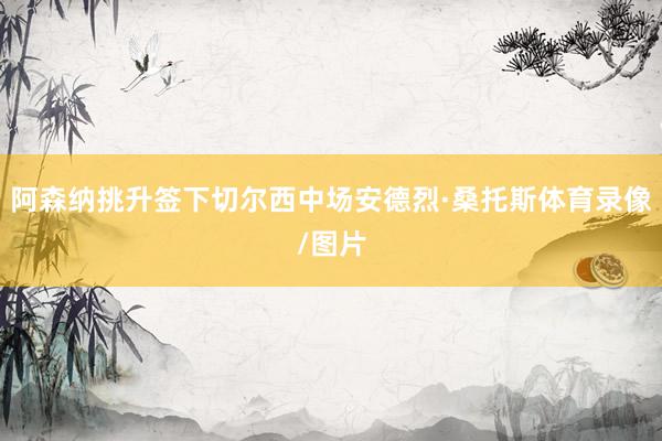 阿森纳挑升签下切尔西中场安德烈·桑托斯体育录像/图片