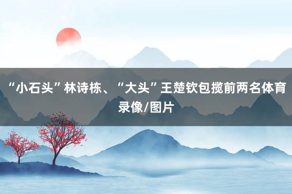 “小石头”林诗栋、“大头”王楚钦包揽前两名体育录像/图片