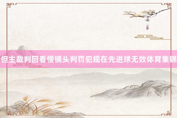 但主裁判回看慢镜头判罚犯规在先进球无效体育集锦