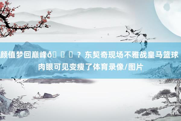 颜值梦回巅峰👏？东契奇现场不雅战皇马篮球 肉眼可见变瘦了体育录像/图片