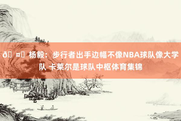 🤔杨毅：步行者出手边幅不像NBA球队像大学队 卡莱尔是球队中枢体育集锦