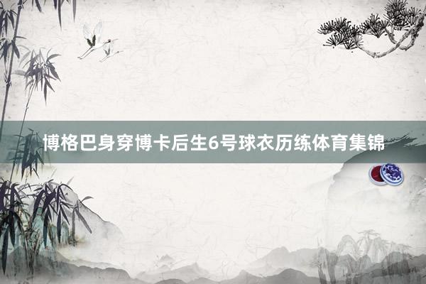 博格巴身穿博卡后生6号球衣历练体育集锦
