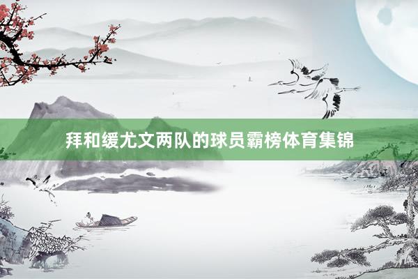 拜和缓尤文两队的球员霸榜体育集锦