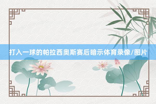 打入一球的帕拉西奥斯赛后暗示体育录像/图片