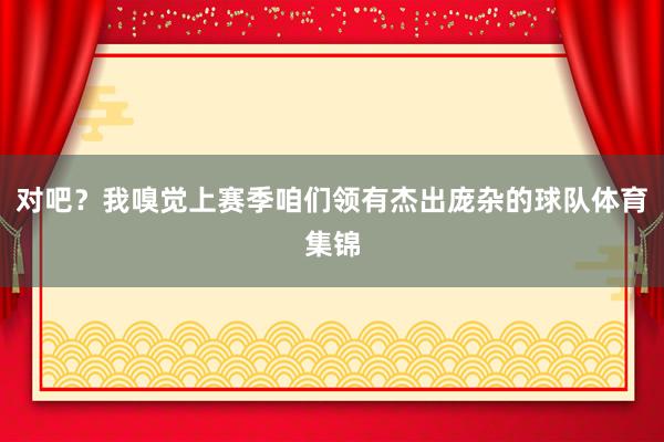 对吧？我嗅觉上赛季咱们领有杰出庞杂的球队体育集锦