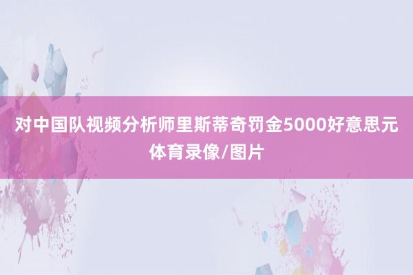 对中国队视频分析师里斯蒂奇罚金5000好意思元体育录像/图片