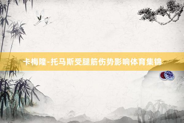 卡梅隆-托马斯受腿筋伤势影响体育集锦