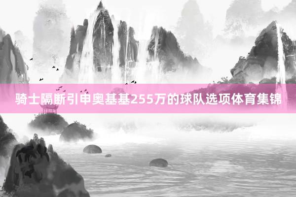 骑士隔断引申奥基基255万的球队选项体育集锦
