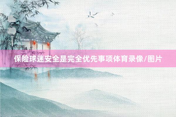 保险球迷安全是完全优先事项体育录像/图片