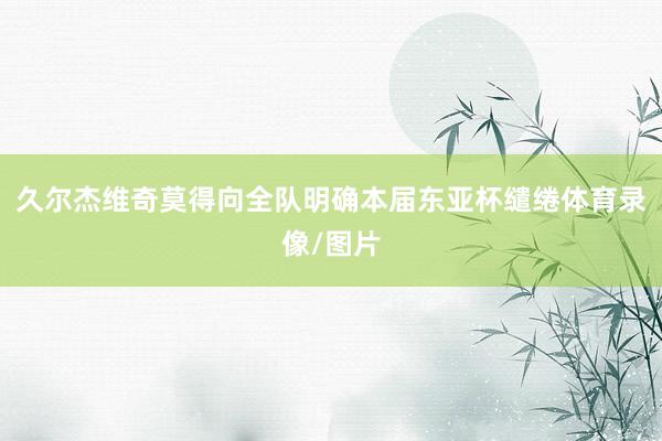 久尔杰维奇莫得向全队明确本届东亚杯缱绻体育录像/图片