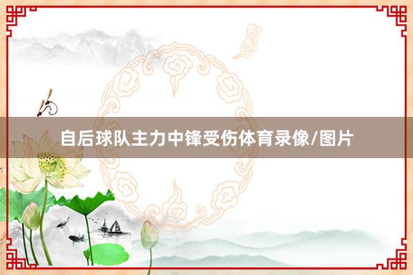 自后球队主力中锋受伤体育录像/图片