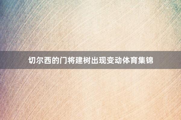 切尔西的门将建树出现变动体育集锦