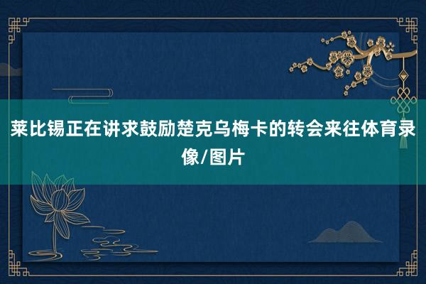 莱比锡正在讲求鼓励楚克乌梅卡的转会来往体育录像/图片
