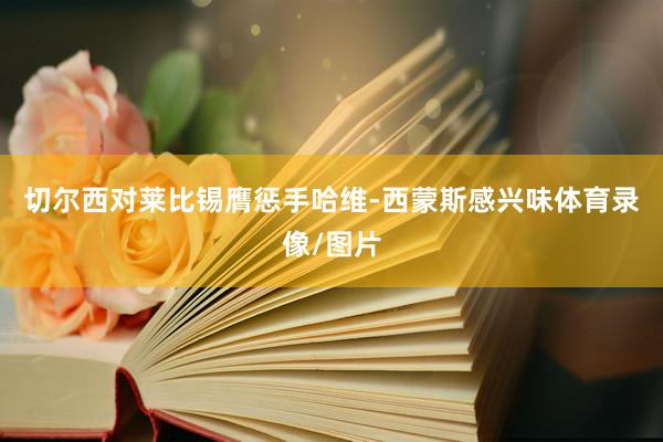 切尔西对莱比锡膺惩手哈维-西蒙斯感兴味体育录像/图片