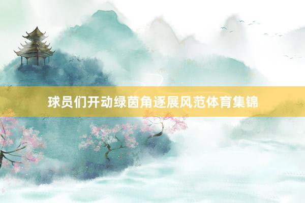球员们开动绿茵角逐展风范体育集锦