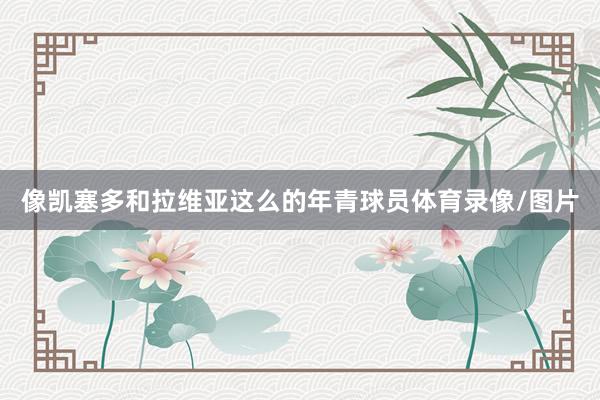 像凯塞多和拉维亚这么的年青球员体育录像/图片