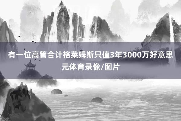 有一位高管合计格莱姆斯只值3年3000万好意思元体育录像/图片
