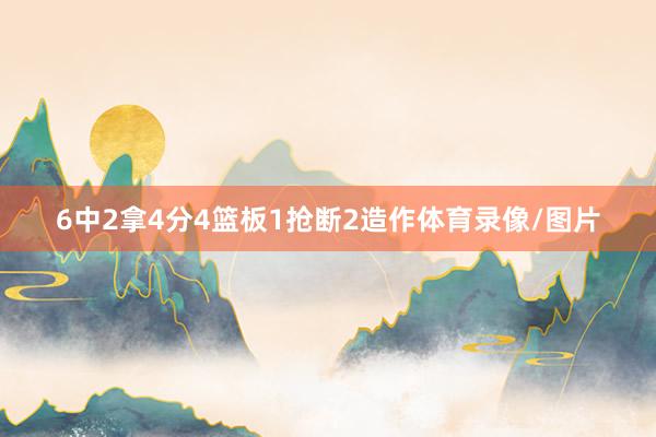6中2拿4分4篮板1抢断2造作体育录像/图片