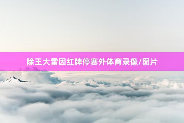 除王大雷因红牌停赛外体育录像/图片