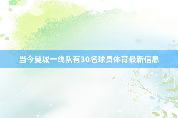 当今曼城一线队有30名球员体育最新信息