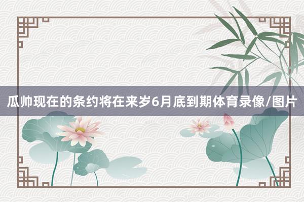 瓜帅现在的条约将在来岁6月底到期体育录像/图片