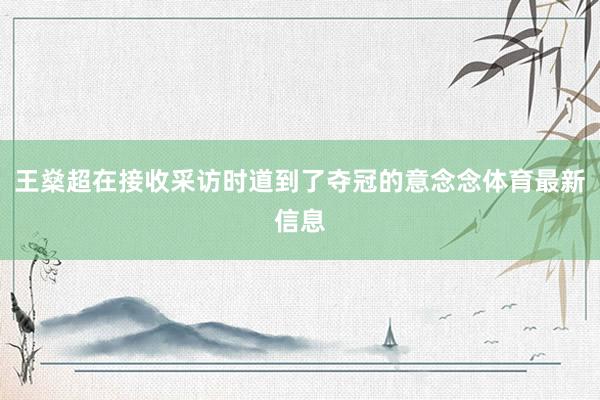 王燊超在接收采访时道到了夺冠的意念念体育最新信息