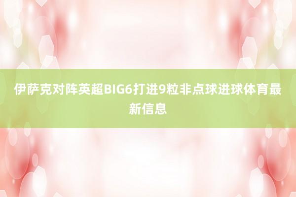 伊萨克对阵英超BIG6打进9粒非点球进球体育最新信息
