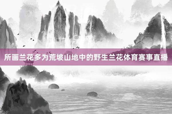 所画兰花多为荒坡山地中的野生兰花体育赛事直播