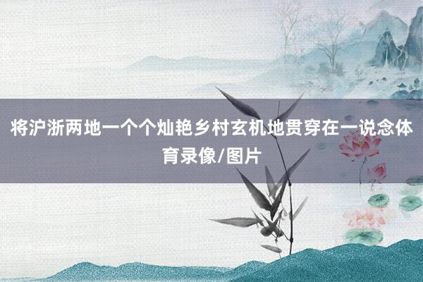 将沪浙两地一个个灿艳乡村玄机地贯穿在一说念体育录像/图片