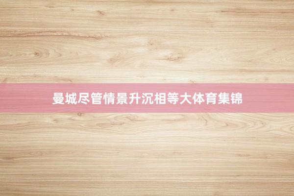 曼城尽管情景升沉相等大体育集锦