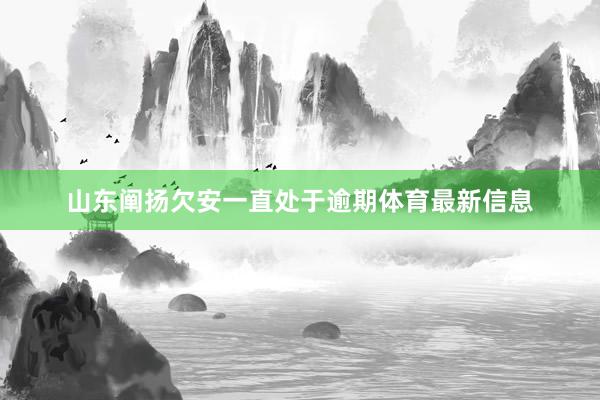 山东阐扬欠安一直处于逾期体育最新信息