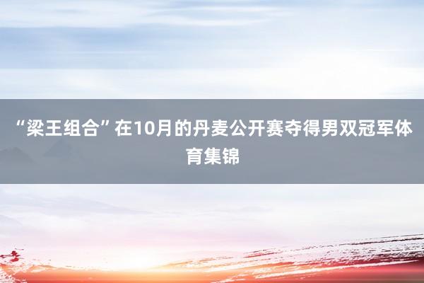“梁王组合”在10月的丹麦公开赛夺得男双冠军体育集锦