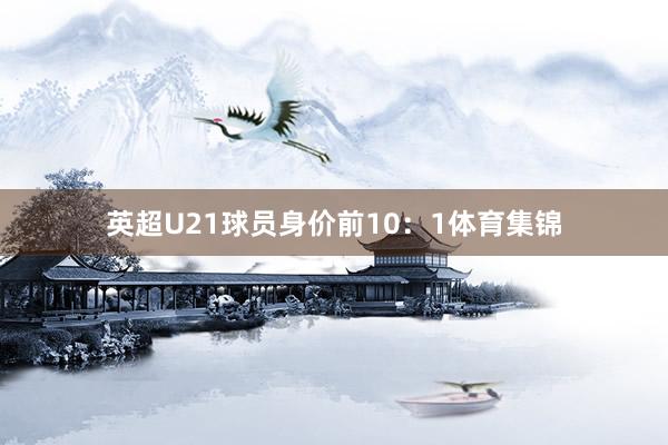 英超U21球员身价前10：1体育集锦