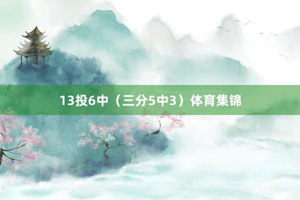 13投6中（三分5中3）体育集锦