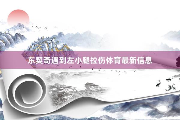 东契奇遇到左小腿拉伤体育最新信息