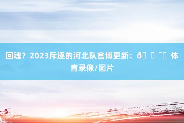 回魂？2023斥逐的河北队官博更新：🕯️体育录像/图片