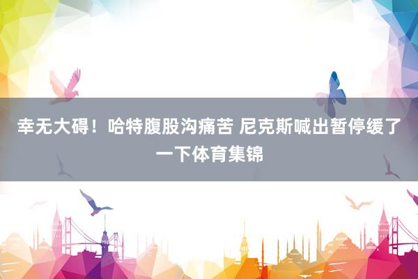 幸无大碍！哈特腹股沟痛苦 尼克斯喊出暂停缓了一下体育集锦