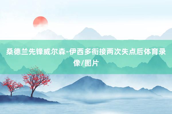 桑德兰先锋威尔森-伊西多衔接两次失点后体育录像/图片