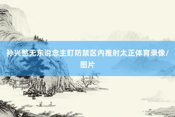 孙兴慜无东说念主盯防禁区内推射太正体育录像/图片