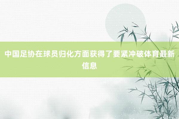 中国足协在球员归化方面获得了要紧冲破体育最新信息