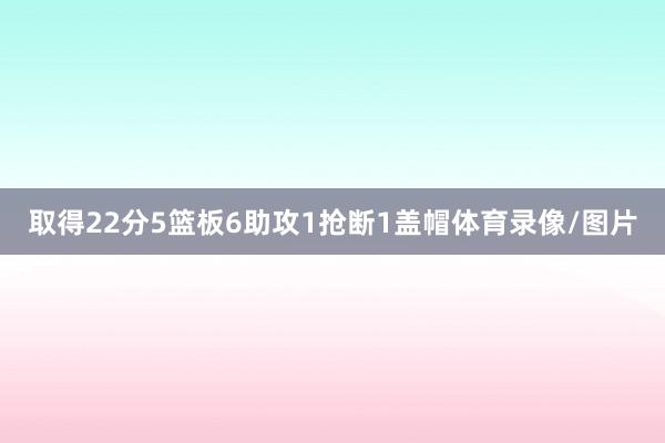 取得22分5篮板6助攻1抢断1盖帽体育录像/图片