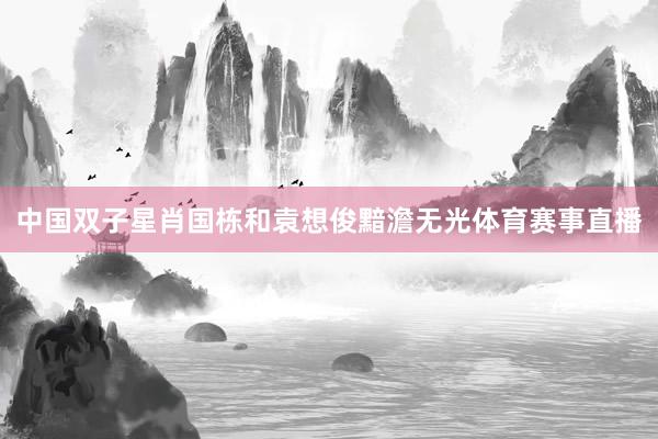 中国双子星肖国栋和袁想俊黯澹无光体育赛事直播