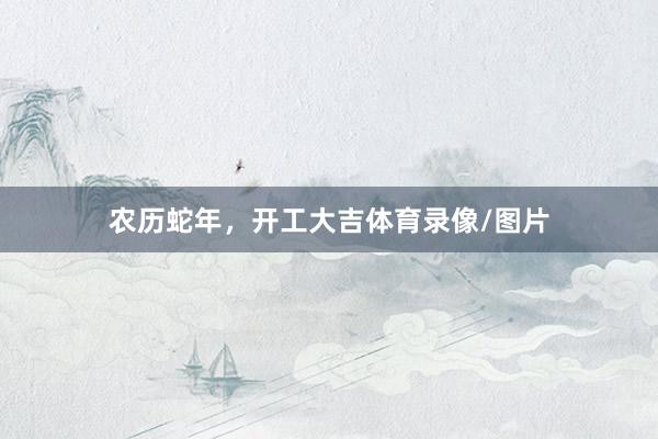 农历蛇年，开工大吉体育录像/图片