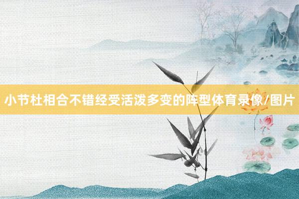 小节杜相合不错经受活泼多变的阵型体育录像/图片