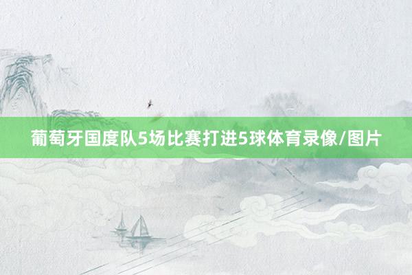 葡萄牙国度队5场比赛打进5球体育录像/图片