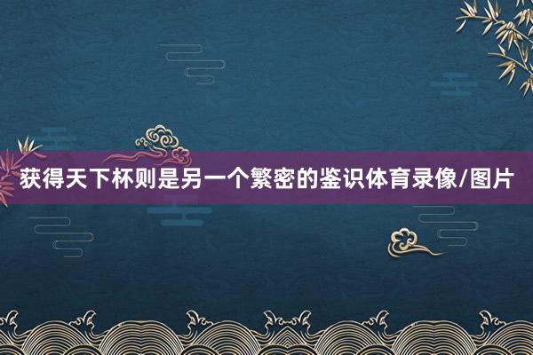 获得天下杯则是另一个繁密的鉴识体育录像/图片
